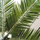 Благоустраивать сада пальмы стеклоткани 7m на открытом воздухе пластиковый