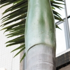 Пальмы кокоса OEM искусственные, защищенное ультрафиолетовое пальм 7m на открытом воздухе искусственное