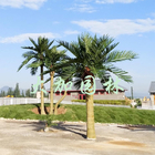 Barhi выходит 4m на открытом воздухе искусственные пальмы для бассейна