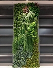 10 искусственного зеленого лет фона стены, панелей Boxwood Faux 100*100cm